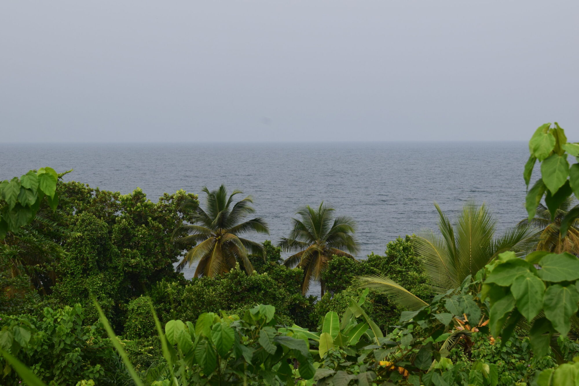 KITONG KIASS / Kamerun authentisch erleben