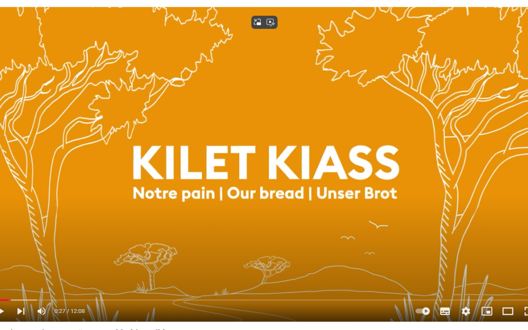 Nachhaltige Berufsausbildung in Afrika (Kurz-Dokufilm)